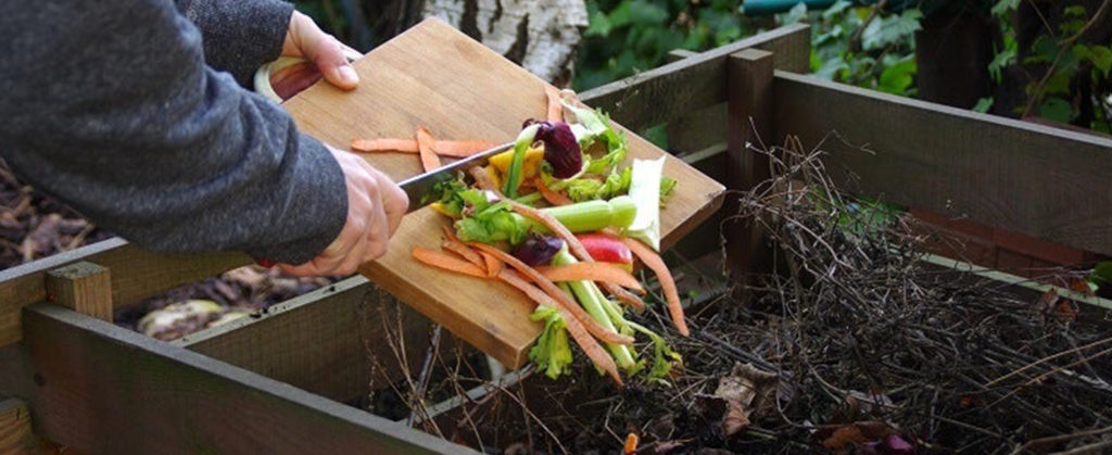 Composting - scraping food waste into composting pile