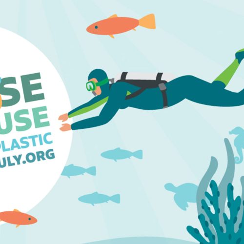 plastic-free-july