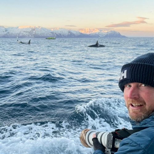 whale watching with steve truluck
